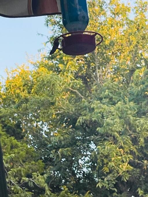 Вилла Bastrop Tiny Disc Golf Retreat Экстерьер фото