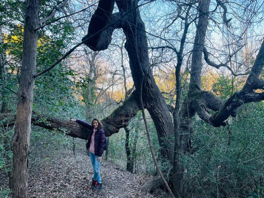 Вилла Bastrop Tiny Disc Golf Retreat Экстерьер фото